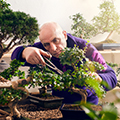 Wolf, bonsai gardener