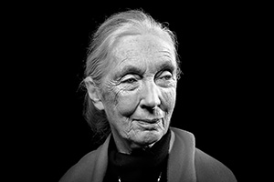 Jane-Goodall