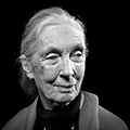 Jane Goodall